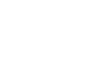 Torino Wireless Logo